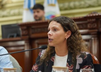 La Legislatura debatió el sobreendeudamiento de las familias santafesinas