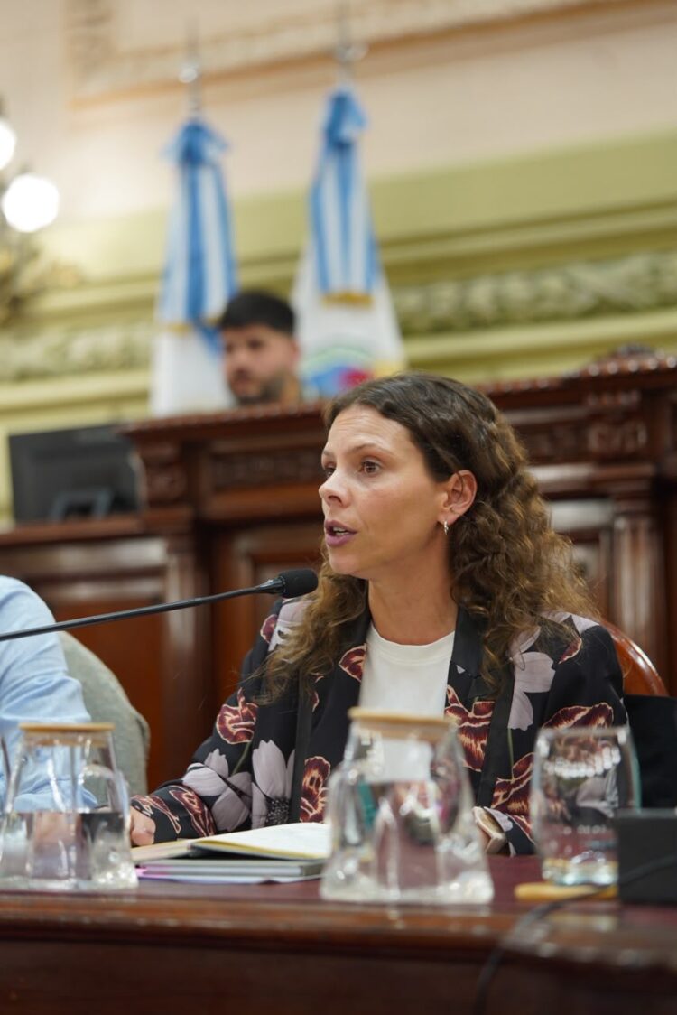 La Legislatura debatió el sobreendeudamiento de las familias santafesinas